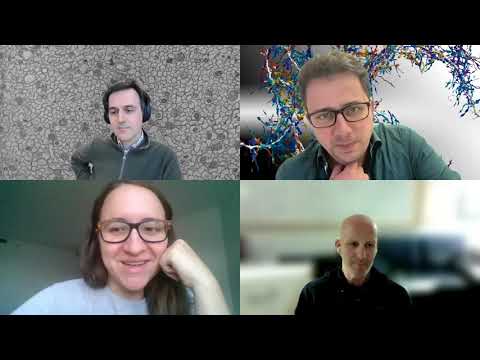 "Can connectomics help us understand the brain and sustain the revolution in AI?" - Discussion + Q&A