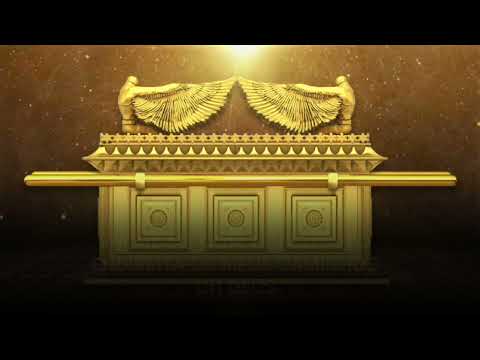 Coração Igual ao Teu (COVER) - 𝐹𝑒𝑟𝑛𝑎𝑛𝑑𝑜 𝑅𝑜𝑑𝑟𝑖𝑔𝑢𝑒𝑠