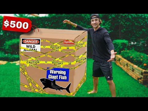 AUSPACKEN DER BISHER GRÖSSTEN MYSTERY FISH BOX ... (was ist drin?)