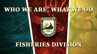 Watch Video - Who We Are, What We Do -          Fisheries Division