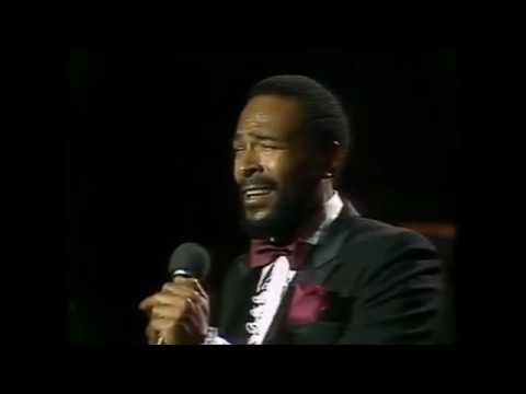 Marvin Gaye Live in Belgium 1981  If This World Were Mine