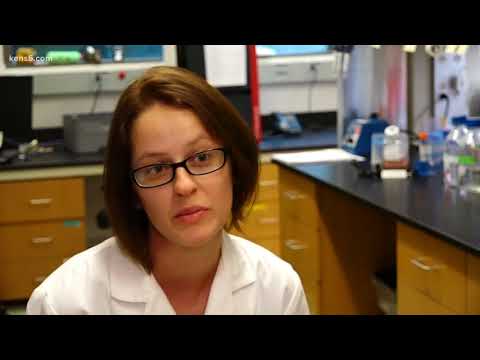 Texas Biomed makes major breakthrough in possible tuberculosis cure