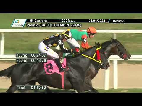 220408 c06 -  LA COQUETA - HIPODROMO LAS PIEDRAS