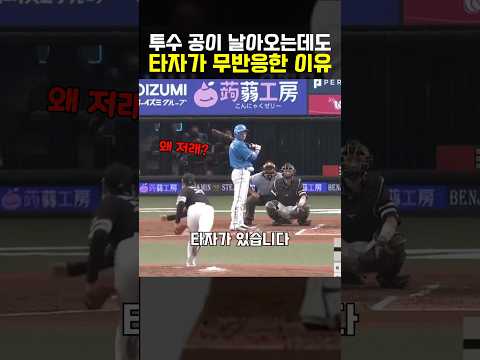 공이 날아와도 가만있는 타자