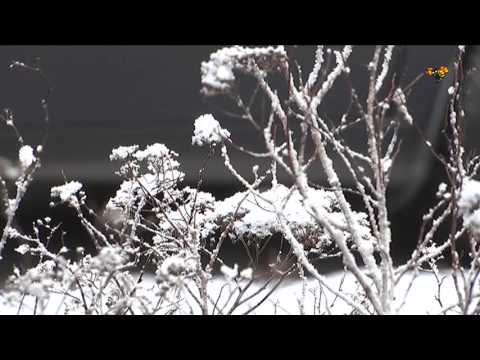 Kylan på ingång – med snö och minusgrader