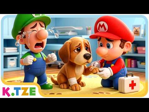 Can They Save Pets in the Animal Hospital? 🏥🐶 Super Mario Odyssey Story