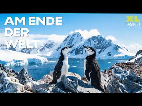 Endloses Paradies: Die geheimnisvollen Facetten der Natur | XL Natur