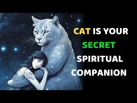 The Spiritual Connection of Cats | Why Did GOD put a CAT in your life ?