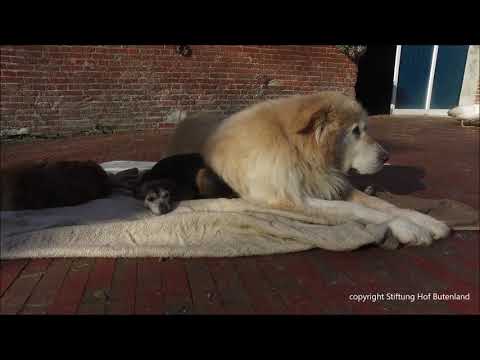 News von Puschek und Kuddel