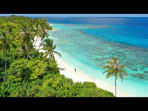 Faos — Back To The Island