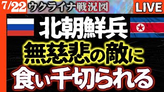 【ロシア派遣の恐怖】強くなりたい北朝鮮兵 無慈悲に食い千切られる【ウクライナ戦況図】プーチン戒厳令発令！モスクワ超高級住宅地にありえない洗礼！ロシア高官、寡頭政治家が餌食に