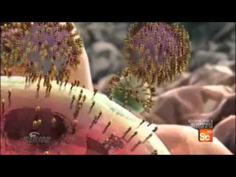 Sci Fi Science: Physics of the Impossible Season 2 Episode 2 Galactic Colonization Part 1