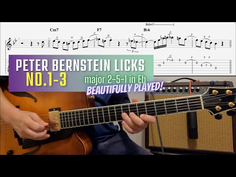 Peter Bernstein Licks No 1-3 (I Wish I Knew)