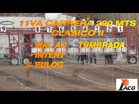INTENTO HIPODROMO EL DESCUIDO EL BRETE 07 08 2022