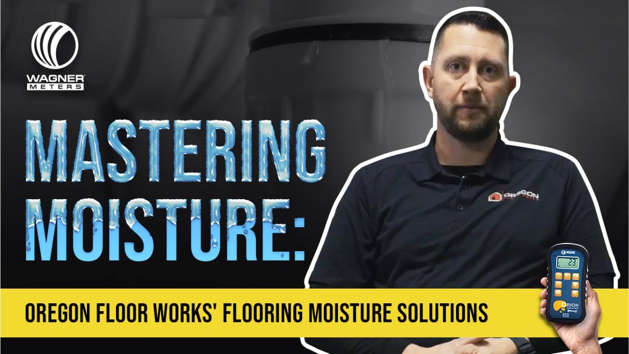 How Moisture Issues Start and What to Do About Them