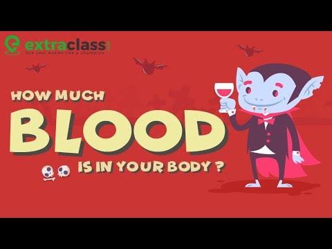 1st YouTube video about how much does a pint of blood weigh
