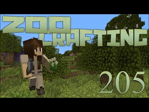 Temperate Forest Parkway 🐘 Zoo Crafting: Episode #205 [Zoocast]
