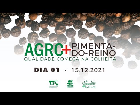 AGRO+ Pimenta-do-Reino | Dia 01