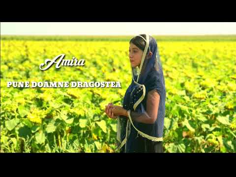 Amira din Barbulesti - Pune Doamne dragostea ❤️