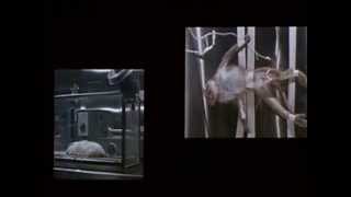 Boards Of Canada - Sick Times