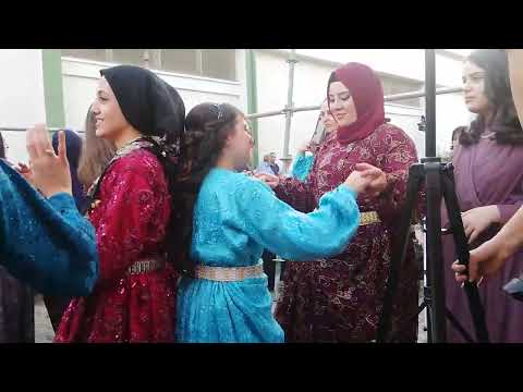 AKŞEHİR Adsız mahallesinden Kübra Ertürk & Mevlüt Yeşil çiftinin düğünü kına gecesi