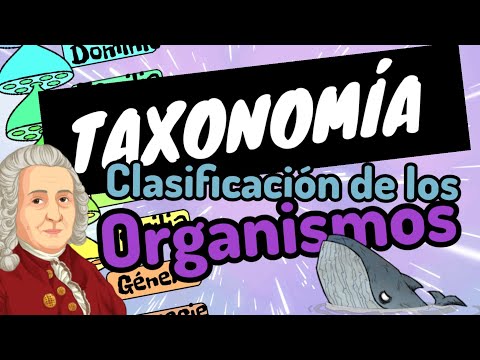 ⚡TAXONOMÍA [clasificación de los seres vivos en 3 minuto]guía examen unam-ipn-comipems