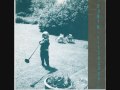 Robyn Rowan Hitchcock  - I Something You / Zipper In My Spine 7" -  1996