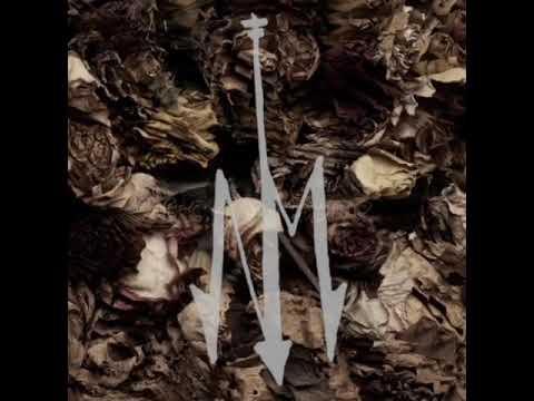 NØTHIN MATTERS - ROSES (Remix)