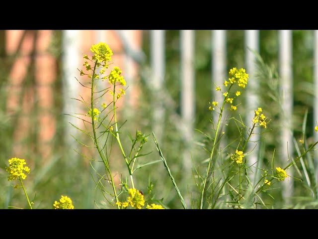 В Иркутской области ведётся постоянный контроль качества воздуха