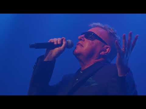 Madness - Theatre Of The Absurd Presents C'est La Vie (Track by Track)