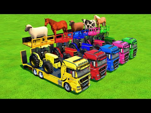 TRANSPORTING GOATS, SHEEPS, COWS, HORSES, BULLS AND TRACTORS WITH MAN TRUCKS - Farming Simulator 22
