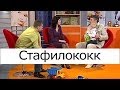 Стафилококк - Школа доктора Комаровского 
