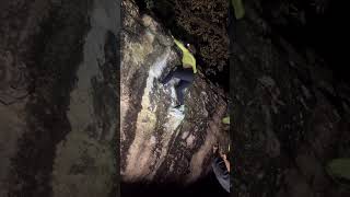 Video thumbnail: Ameixa, V5. Cocalzinho de Goiás