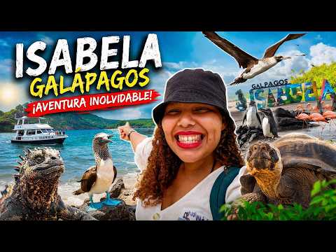🐧 Tortugas, pingüinos y playas únicas | ISABELA GALÁPAGOS 🇪🇨