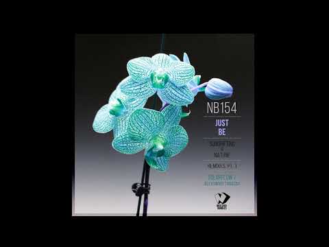 Sundrifting & Natune - Just Be (Alexander Tarasov Remix)