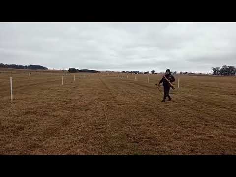 Raid para caballos de la zona sobre 8500 mts - Caraguatá, Tacuarembó 26/07/2025