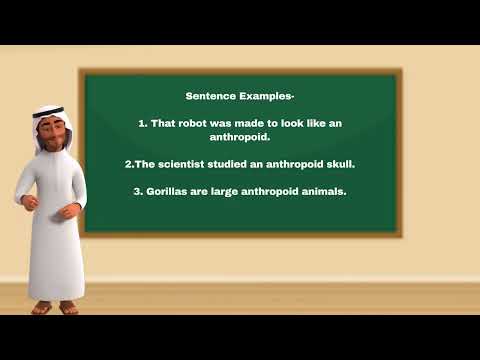 A WORD A DAY AWAD Anthropoid Meaning, Pronunciation & Usage