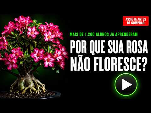 Assistir vídeo