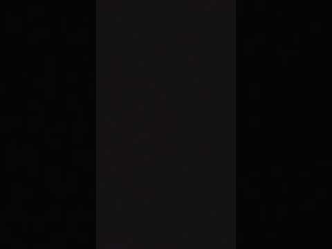 Randy Rap Come Shake It on Me!!!