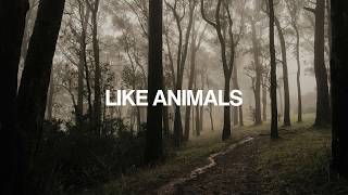 Download lagu BTS (방탄소년단) 'Like Animals' I English Lyrics mp3 Download lagu BTS (방탄소년단) 'Like Animals' I English Lyrics mp3