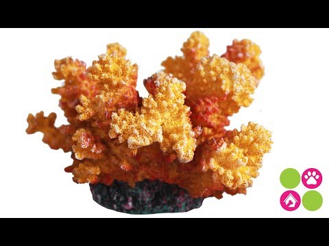 Koralowiec Cauliflower 12 cm TX-8838 | Sztuczne koralowce do akwarium | majazoo.pl