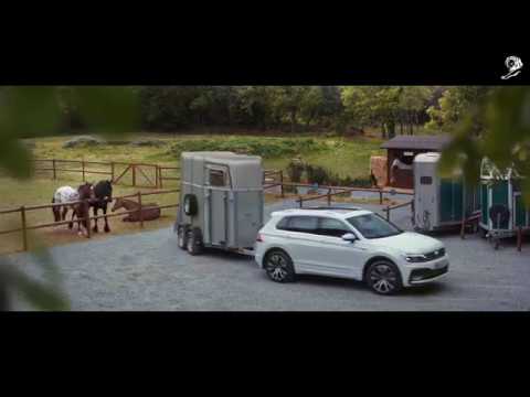 VW Tiguan "Lachende Pferde" (Agentur: Grabarz & Partner)