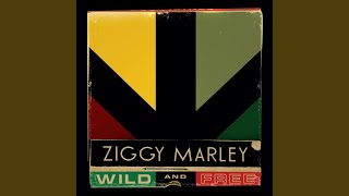 Welcome to the World