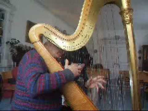 David Watkins gives impromptu harp tutorial in virtuoso technique - hand rather than active fingers