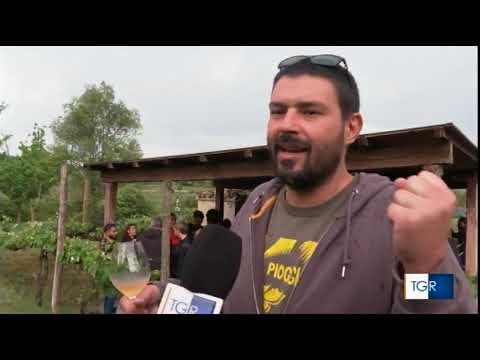 Amici Vignaioli - Montefalco, 8 Maggio 2023 RAITRE