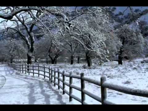 First Day of Spring March 20, 2011