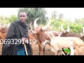 Willi Lyamacopyuta UJUMBE WA NG WAJE VIDEO OFFICIR 16 10 2023