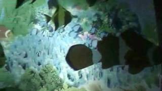 DAVE MASON  (SAD AND DEEP AS YOU)