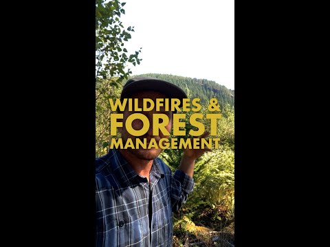 Wildfires & Forest Management - How it's connected, and how we got here