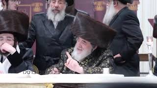 אדמו"ר מויז'ניץ משתתף בקבלת פנים לבן הרה"צ רבי חיים מאיר ארנסטר רב קרית מאור חיים צפת, ב' חיי שרה